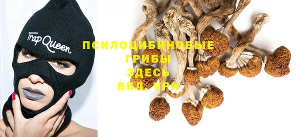 кокаин колумбия Богданович